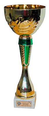 Таможенный Олимп - 2008