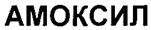 Амоксил