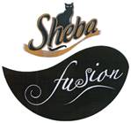 SHEBA