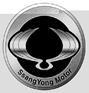 Ssangyong