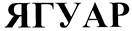 ЯГУАР