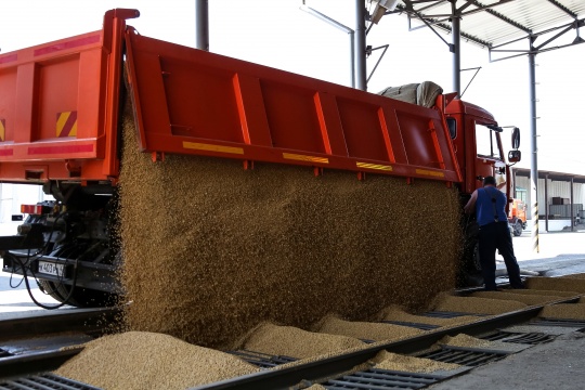 Минэкономразвития предложил установить экспортную пошлину на сою