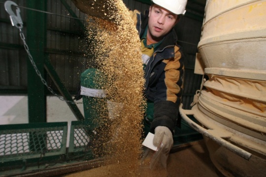 Соеводы останутся на бобах. К чему приведут новые пошлины на вывоз масличных за рубеж